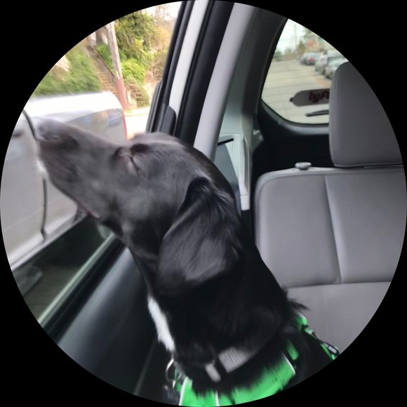 pamnissen